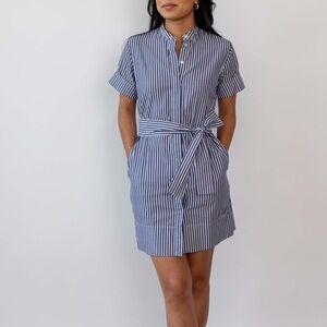 Everlane Blue and White Striped Dress